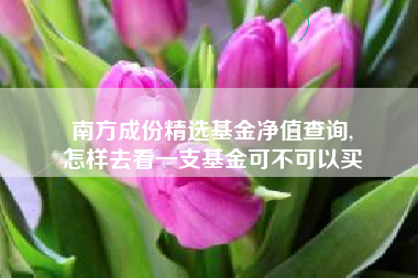 南方成份精选基金净值查询,
怎样去看一支基金可不可以买