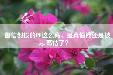 鲁信创投的PE这么高，是真值钱还是被高估了？