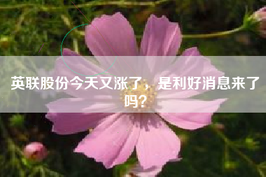 英联股份今天又涨了，是利好消息来了吗？
