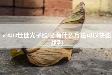 688313仕佳光子股吧,有什么方法可以快速找到