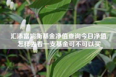 汇添富均衡基金净值查询今日净值,
怎样去看一支基金可不可以买