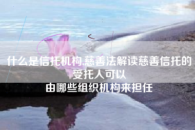 什么是信托机构,慈善法解读慈善信托的受托人可以
由哪些组织机构来担任 什么是信托机构,慈善法解读慈善信托的受托人可以
由哪些组织机构来担任