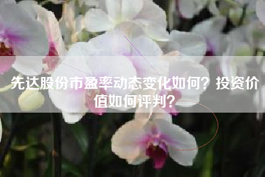 先达股份市盈率动态变化如何？投资价值如何评判？