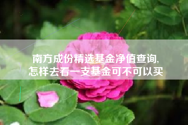 南方成份精选基金净值查询,
怎样去看一支基金可不可以买