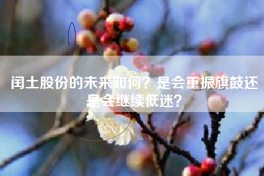 闰土股份的未来如何？是会重振旗鼓还是会继续低迷？