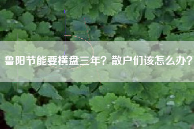 鲁阳节能要横盘三年？散户们该怎么办？