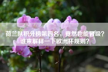 荷兰队积分榜第四名,竟然也能晋级?谁来解释一下欧洲杯规则?