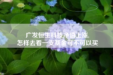 广发恒生科技净值上涨,
怎样去看一支基金可不可以买