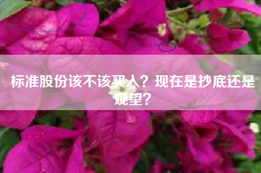 标准股份该不该买入?现在是抄底还是观望?