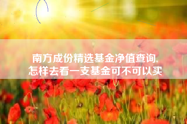南方成份精选基金净值查询,
怎样去看一支基金可不可以买