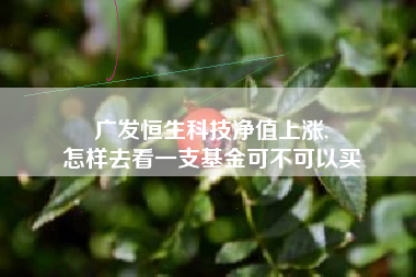 广发恒生科技净值上涨,
怎样去看一支基金可不可以买