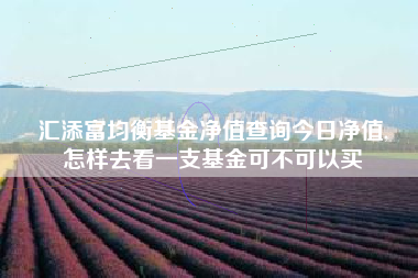 汇添富均衡基金净值查询今日净值,
怎样去看一支基金可不可以买