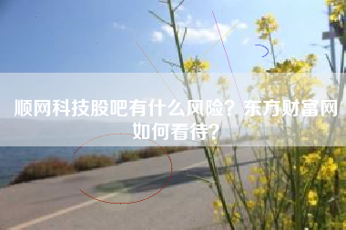 顺网科技股吧有什么风险?东方财富网如何看待?