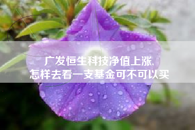 广发恒生科技净值上涨,
怎样去看一支基金可不可以买