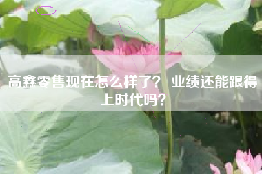 高鑫零售现在怎么样了？ 业绩还能跟得上时代吗？