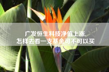 广发恒生科技净值上涨,
怎样去看一支基金可不可以买