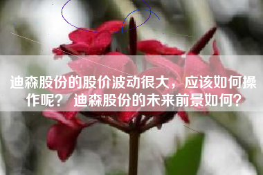 迪森股份的股价波动很大，应该如何操作呢？ 迪森股份的未来前景如何？