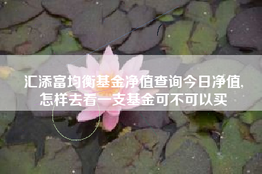 汇添富均衡基金净值查询今日净值,
怎样去看一支基金可不可以买