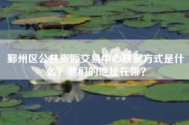 鄞州区公共资源交易中心联系方式是什么？他们的地址在哪？