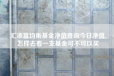 汇添富均衡基金净值查询今日净值,
怎样去看一支基金可不可以买