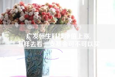 广发恒生科技净值上涨,
怎样去看一支基金可不可以买