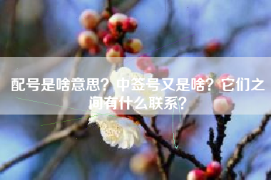 配号是啥意思？中签号又是啥？它们之间有什么联系？