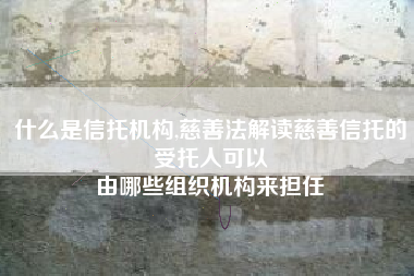 什么是信托机构,慈善法解读慈善信托的受托人可以
由哪些组织机构来担任 什么是信托机构,慈善法解读慈善信托的受托人可以
由哪些组织机构来担任