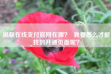 银联在线支付官网在哪? 我要怎么才能找到开通页面呢?