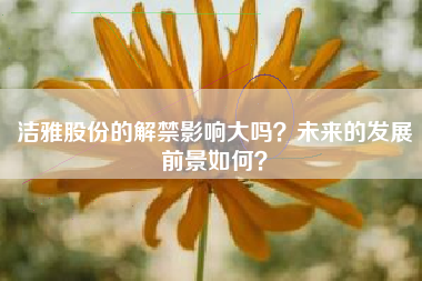 洁雅股份的解禁影响大吗？未来的发展前景如何？