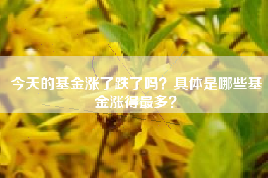 今天的基金涨了跌了吗？具体是哪些基金涨得最多？