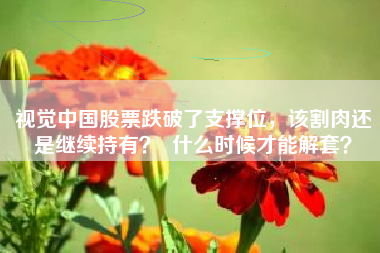 视觉中国股票跌破了支撑位,该割肉还是继续持有? 什么时候才能解套?