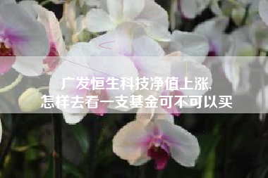 广发恒生科技净值上涨,
怎样去看一支基金可不可以买