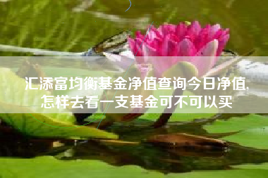 汇添富均衡基金净值查询今日净值,
怎样去看一支基金可不可以买