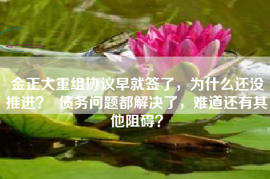 金正大重组协议早就签了，为什么还没推进？  债务问题都解决了，难道还有其他阻碍？
