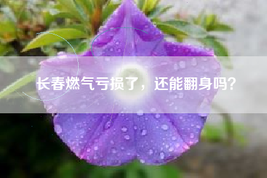 长春燃气亏损了，还能翻身吗？