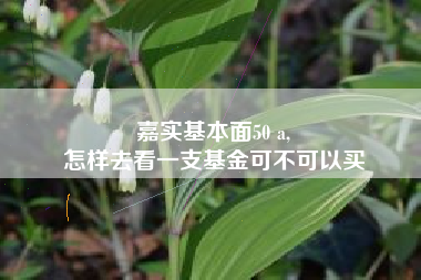 嘉实基本面50 a,
怎样去看一支基金可不可以买