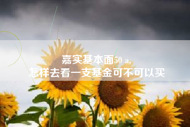 嘉实基本面50 a,
怎样去看一支基金可不可以买