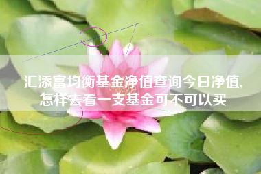 汇添富均衡基金净值查询今日净值,
怎样去看一支基金可不可以买