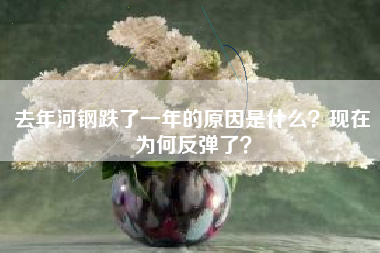 去年河钢跌了一年的原因是什么？现在为何反弹了？