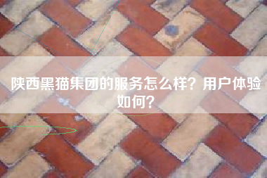 陕西黑猫集团的服务怎么样?用户体验如何?