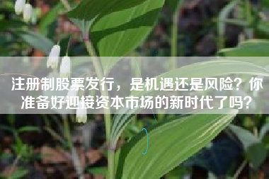 注册制股票发行,是机遇还是风险?你准备好迎接资本市场的新时代了吗?