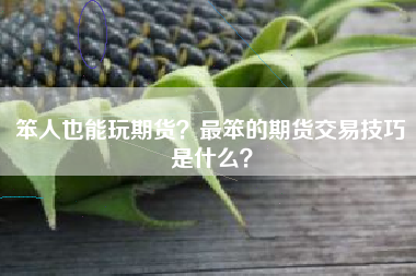 笨人也能玩期货？最笨的期货交易技巧是什么？