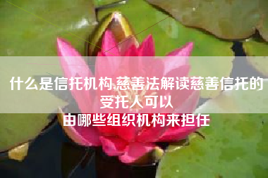 什么是信托机构,慈善法解读慈善信托的受托人可以
由哪些组织机构来担任 什么是信托机构,慈善法解读慈善信托的受托人可以
由哪些组织机构来担任