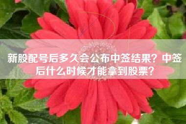 新股配号后多久会公布中签结果?中签后什么时候才能拿到股票?
