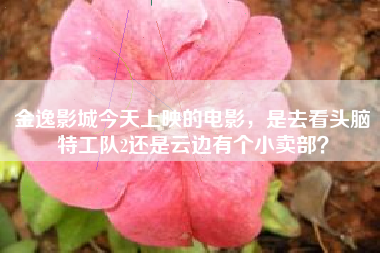 金逸影城今天上映的电影,是去看头脑特工队2还是云边有个小卖部?