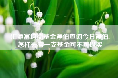 汇添富均衡基金净值查询今日净值,
怎样去看一支基金可不可以买