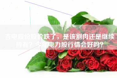 吉电股份股价跌了，是该割肉还是继续持有？今年电力股行情会好吗？