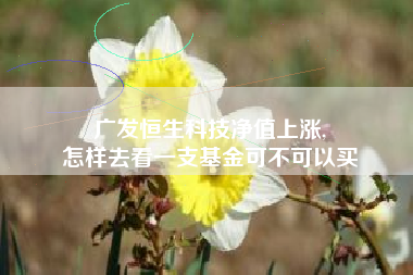 广发恒生科技净值上涨,
怎样去看一支基金可不可以买