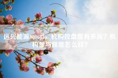 远兴能源000683，机构控盘度有多高？机构参与程度怎么样？