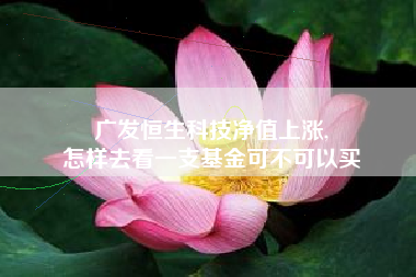 广发恒生科技净值上涨,
怎样去看一支基金可不可以买